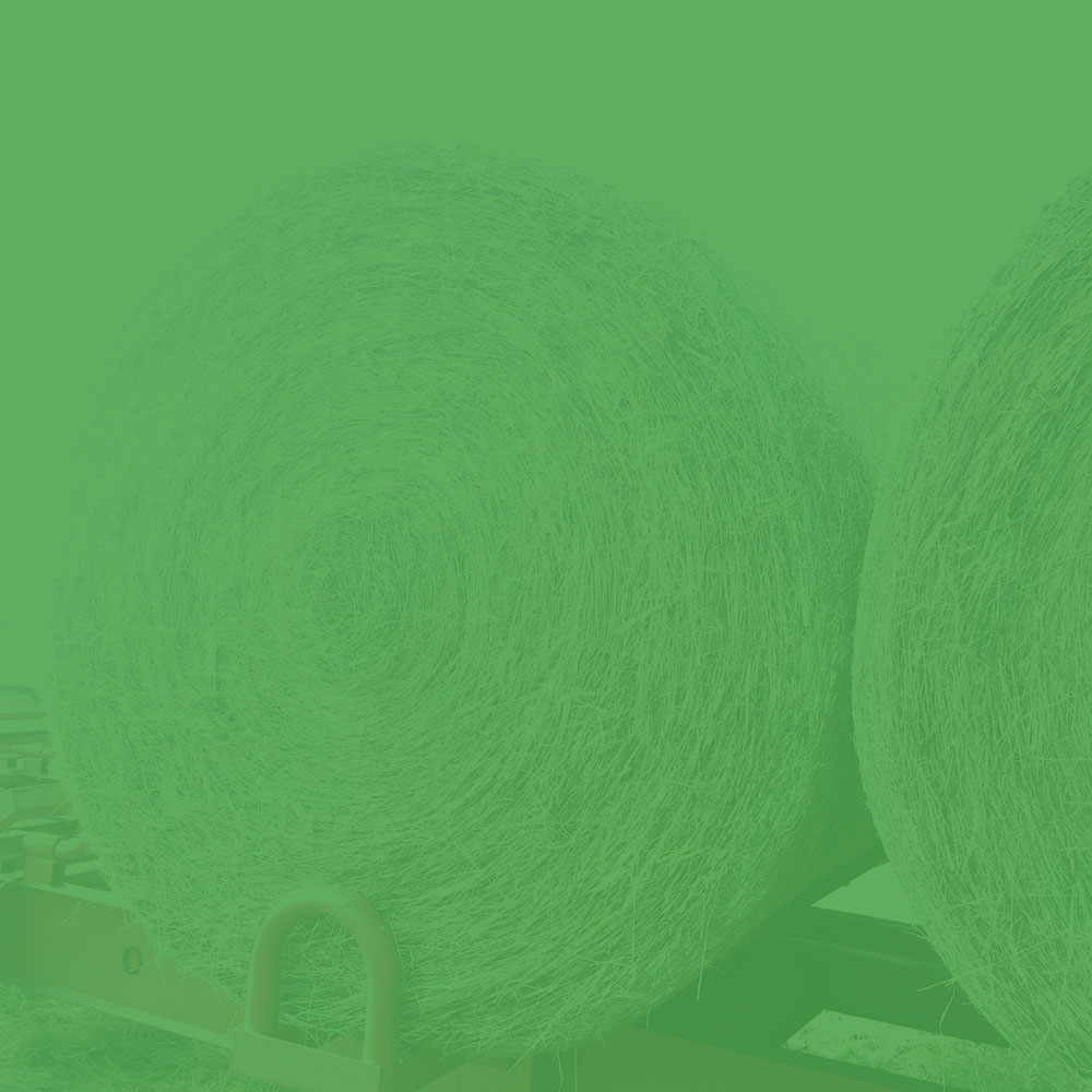 Hay For sell in anza, us: Wheat Hay-Beardless Square Bales