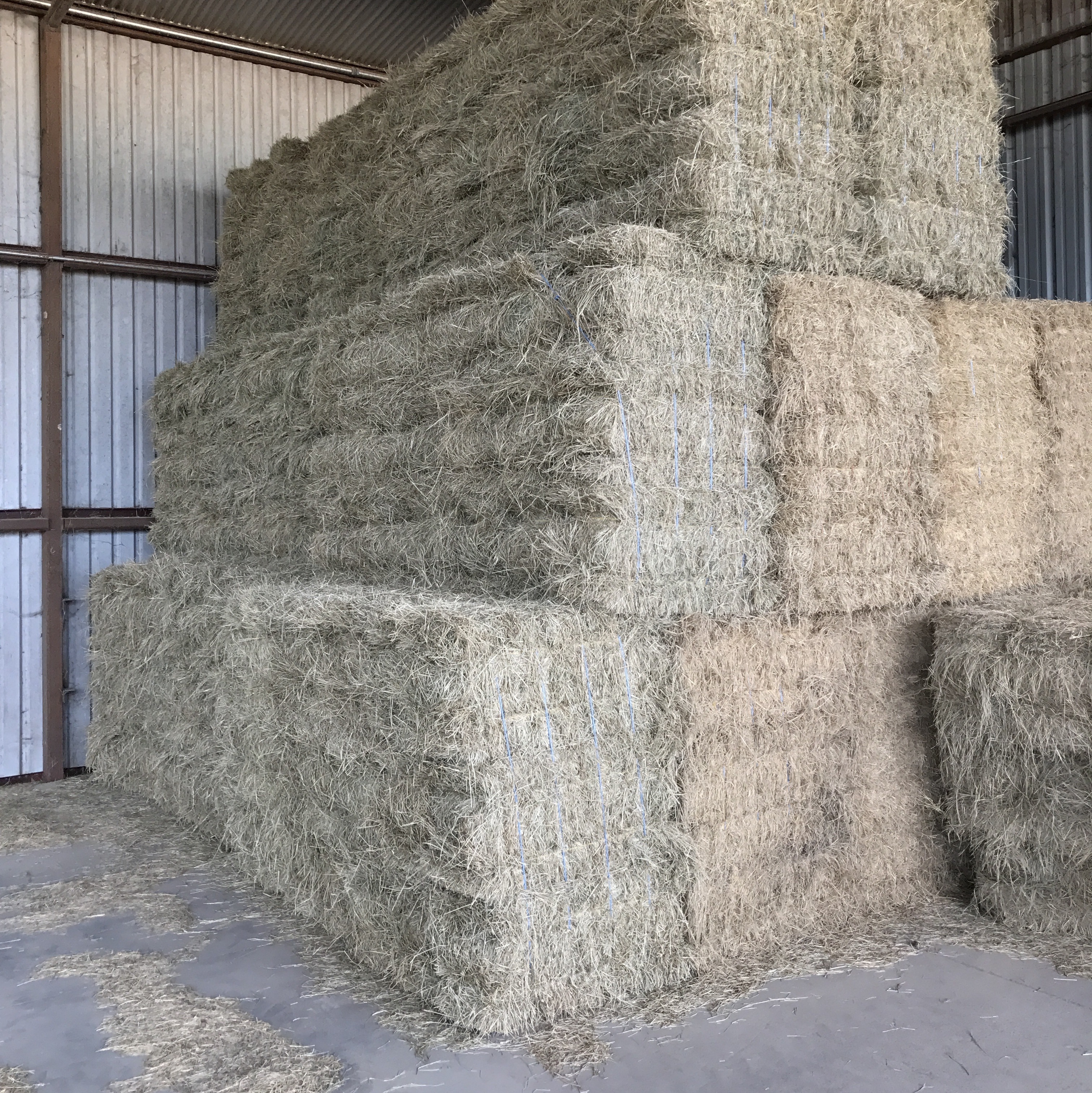 find-hay-for-sale-haymap